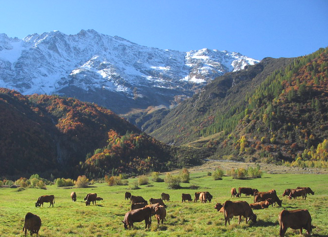 Vallee de Peisey.jpg